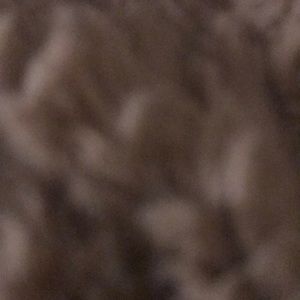 Meet your Posher, Brent